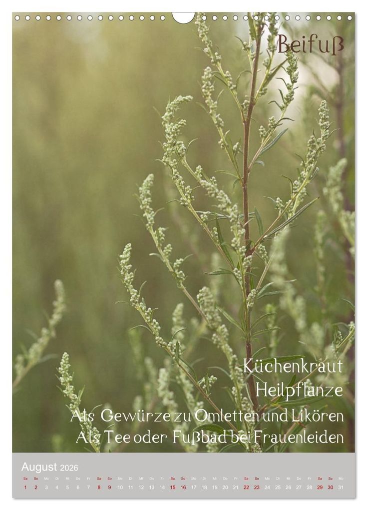 Weitere Ansicht: Unkräuter - Nützliche Wildpflanzen auf der Wiese (Wandkalender 2026 DIN A3 hoch), CALVENDO Monatskalender | Drachenkind-Fotografie Drachenkind-Fotografie, Calvendo, Drachenkind-Fotografie
