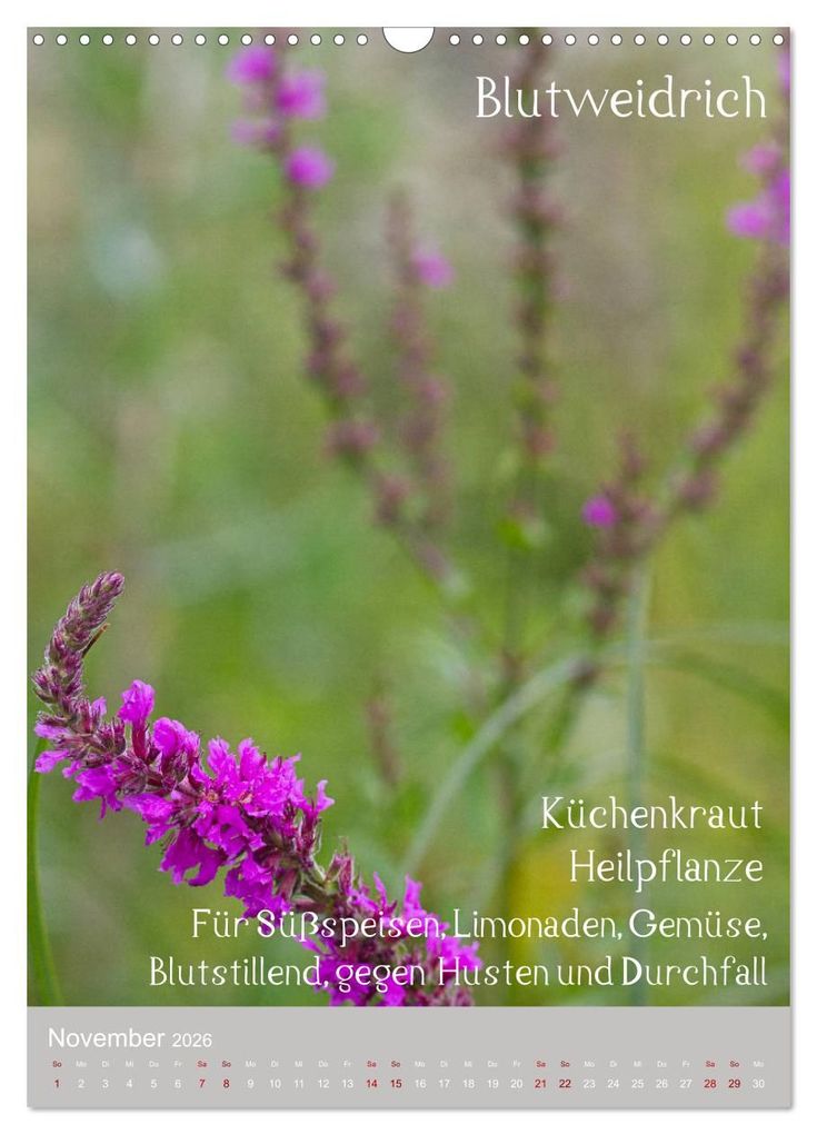 Weitere Ansicht: Unkräuter - Nützliche Wildpflanzen auf der Wiese (Wandkalender 2026 DIN A3 hoch), CALVENDO Monatskalender | Drachenkind-Fotografie Drachenkind-Fotografie, Calvendo, Drachenkind-Fotografie