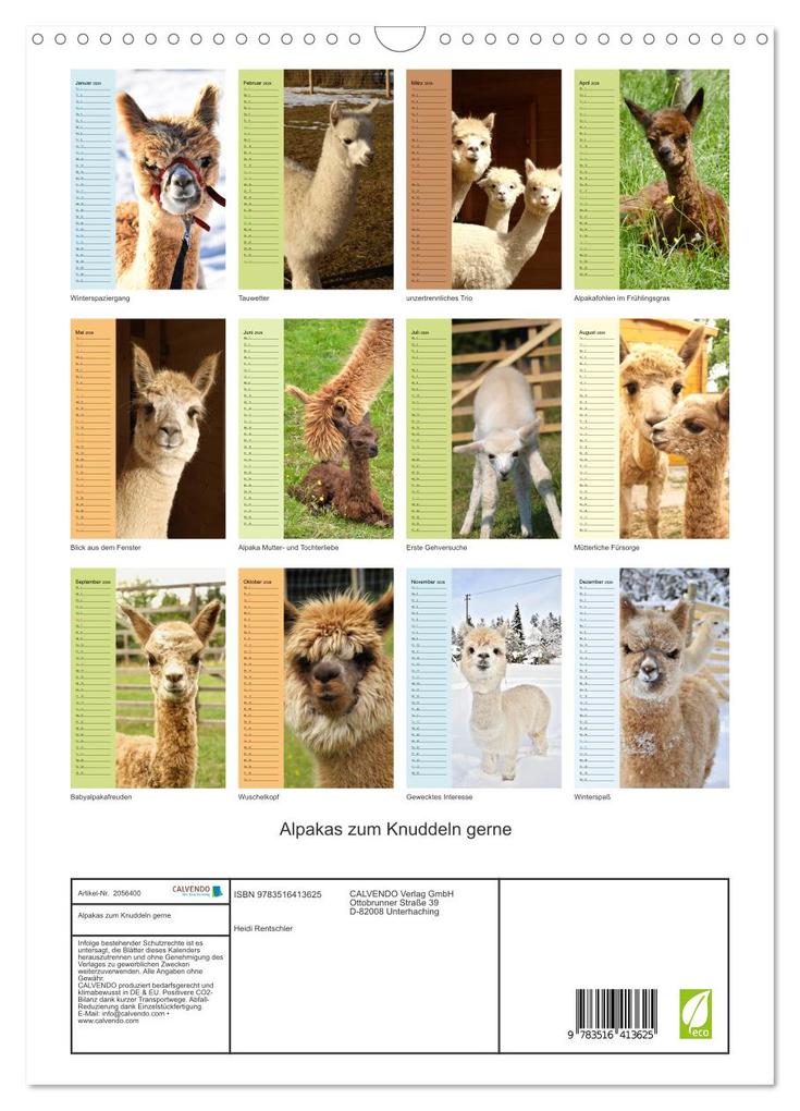 Weitere Ansicht: Alpakas zum Knuddeln gerne (Wandkalender 2026 DIN A3 hoch), CALVENDO Monatskalender | Heidi Rentschler, Calvendo