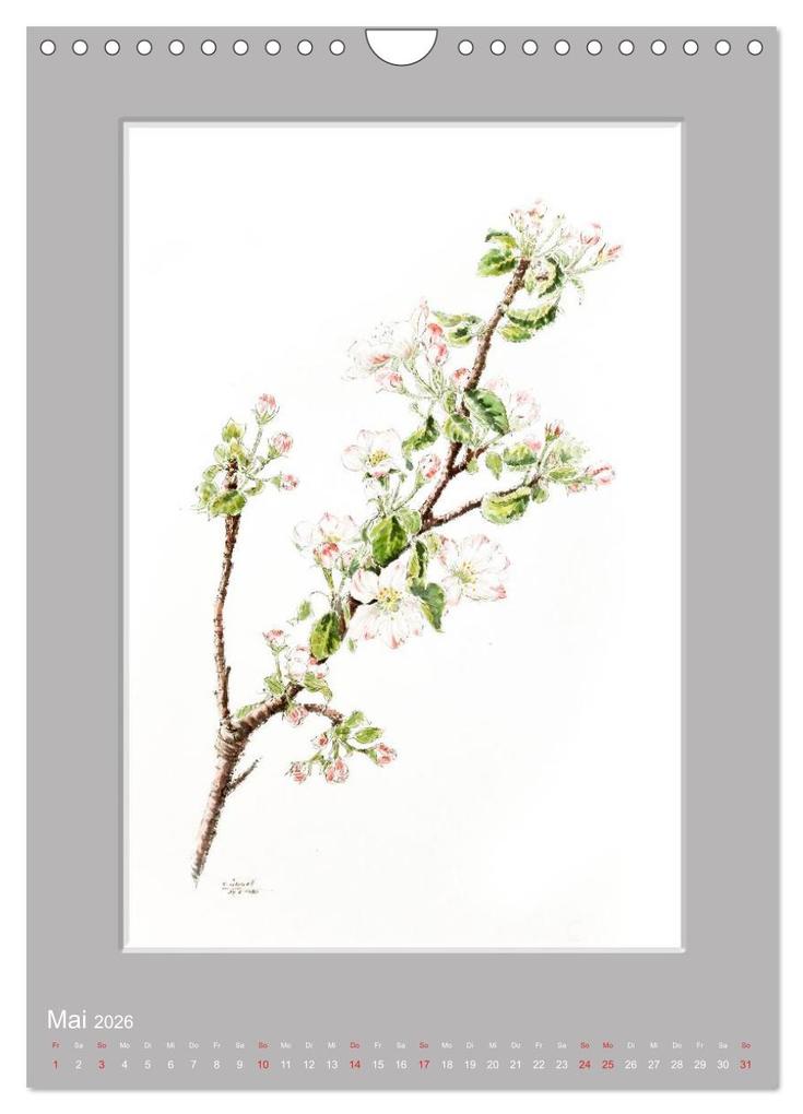 Weitere Ansicht: Alpenblumen Aquarelle aus Tirol (Wandkalender 2026 DIN A4 hoch), CALVENDO Monatskalender | Peter Überall, Calvendo