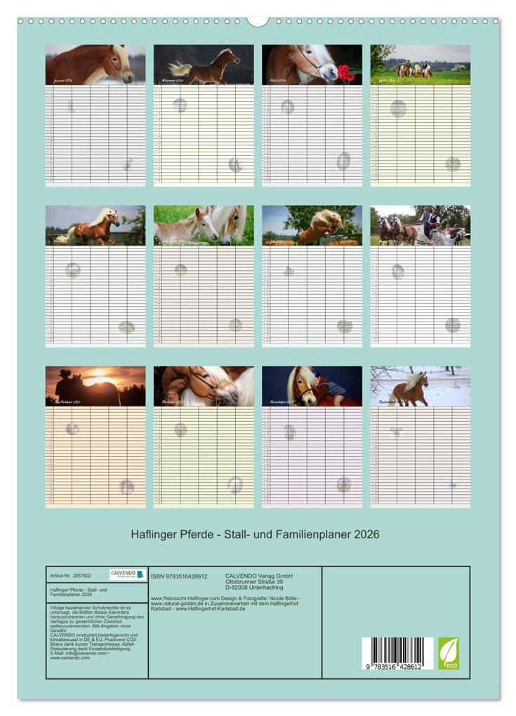 Weitere Ansicht: Haflinger Pferde - Stall- und Familienplaner 2026 (hochwertiger Premium Wandkalender 2026 DIN A2 hoch), Kunstdruck in Hochglanz | Natural-Golden.de Natural-Golden.de, Calvendo, Natural-Golden.de
