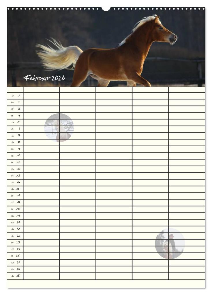 Weitere Ansicht: Haflinger Pferde - Stall- und Familienplaner 2026 (hochwertiger Premium Wandkalender 2026 DIN A2 hoch), Kunstdruck in Hochglanz | Natural-Golden.de Natural-Golden.de, Calvendo, Natural-Golden.de