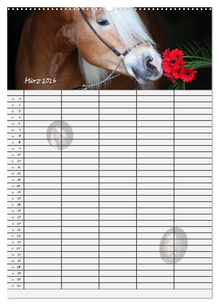 Weitere Ansicht: Haflinger Pferde - Stall- und Familienplaner 2026 (hochwertiger Premium Wandkalender 2026 DIN A2 hoch), Kunstdruck in Hochglanz | Natural-Golden.de Natural-Golden.de, Calvendo, Natural-Golden.de