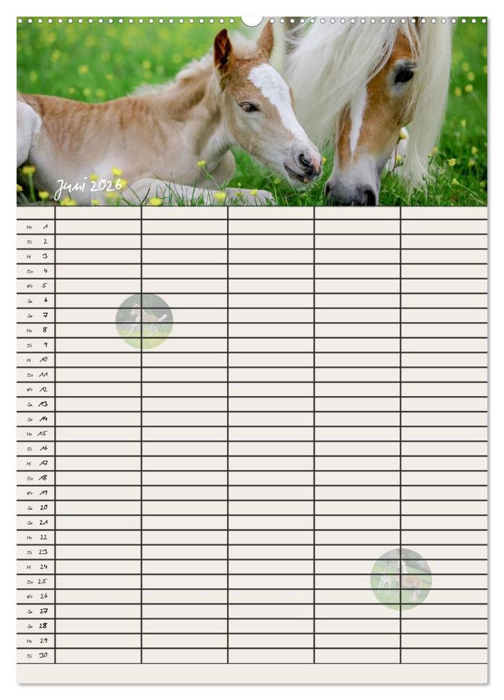 Weitere Ansicht: Haflinger Pferde - Stall- und Familienplaner 2026 (hochwertiger Premium Wandkalender 2026 DIN A2 hoch), Kunstdruck in Hochglanz | Natural-Golden.de Natural-Golden.de, Calvendo, Natural-Golden.de