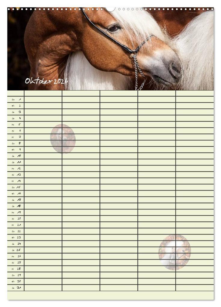 Weitere Ansicht: Haflinger Pferde - Stall- und Familienplaner 2026 (hochwertiger Premium Wandkalender 2026 DIN A2 hoch), Kunstdruck in Hochglanz | Natural-Golden.de Natural-Golden.de, Calvendo, Natural-Golden.de