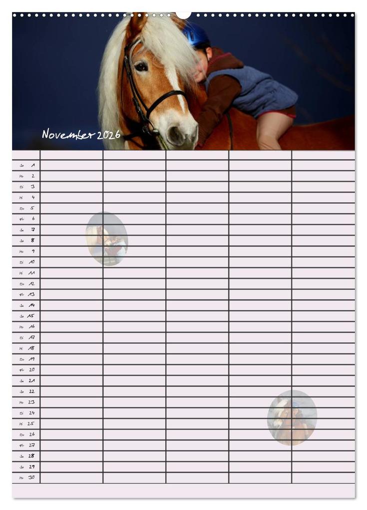 Weitere Ansicht: Haflinger Pferde - Stall- und Familienplaner 2026 (hochwertiger Premium Wandkalender 2026 DIN A2 hoch), Kunstdruck in Hochglanz | Natural-Golden.de Natural-Golden.de, Calvendo, Natural-Golden.de