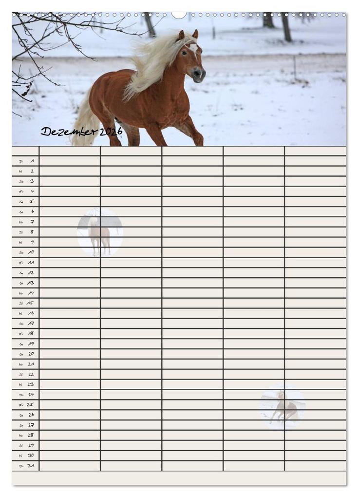 Weitere Ansicht: Haflinger Pferde - Stall- und Familienplaner 2026 (hochwertiger Premium Wandkalender 2026 DIN A2 hoch), Kunstdruck in Hochglanz | Natural-Golden.de Natural-Golden.de, Calvendo, Natural-Golden.de