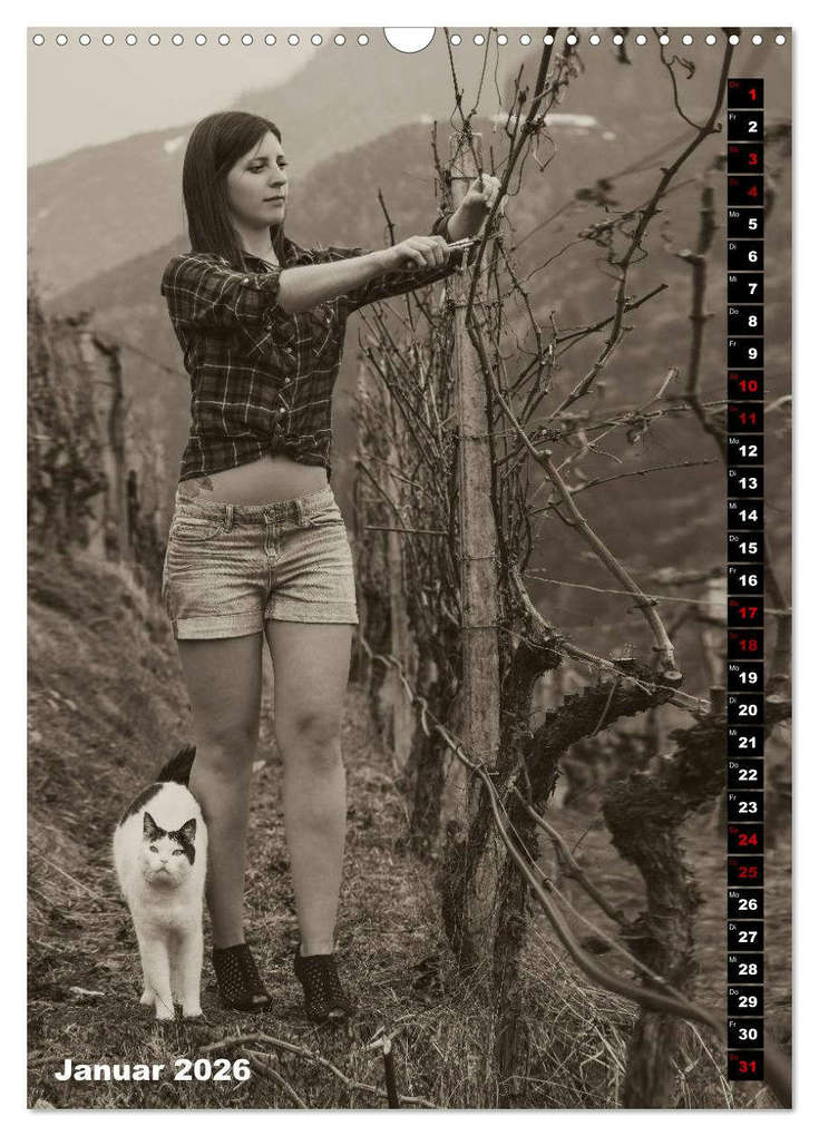 Weitere Ansicht: Weinbaukalender 2026 (Wandkalender 2026 DIN A3 hoch), CALVENDO Monatskalender | Werner Zippl, Calvendo