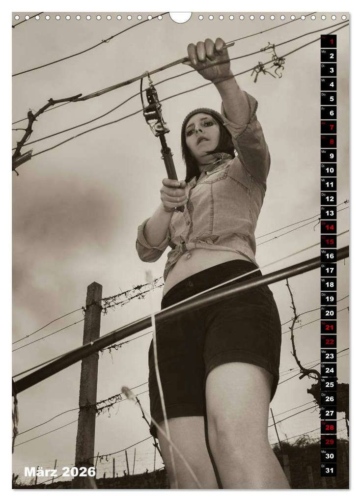 Weitere Ansicht: Weinbaukalender 2026 (Wandkalender 2026 DIN A3 hoch), CALVENDO Monatskalender | Werner Zippl, Calvendo