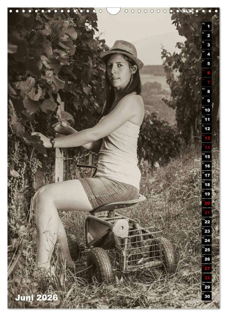 Weitere Ansicht: Weinbaukalender 2026 (Wandkalender 2026 DIN A3 hoch), CALVENDO Monatskalender | Werner Zippl, Calvendo