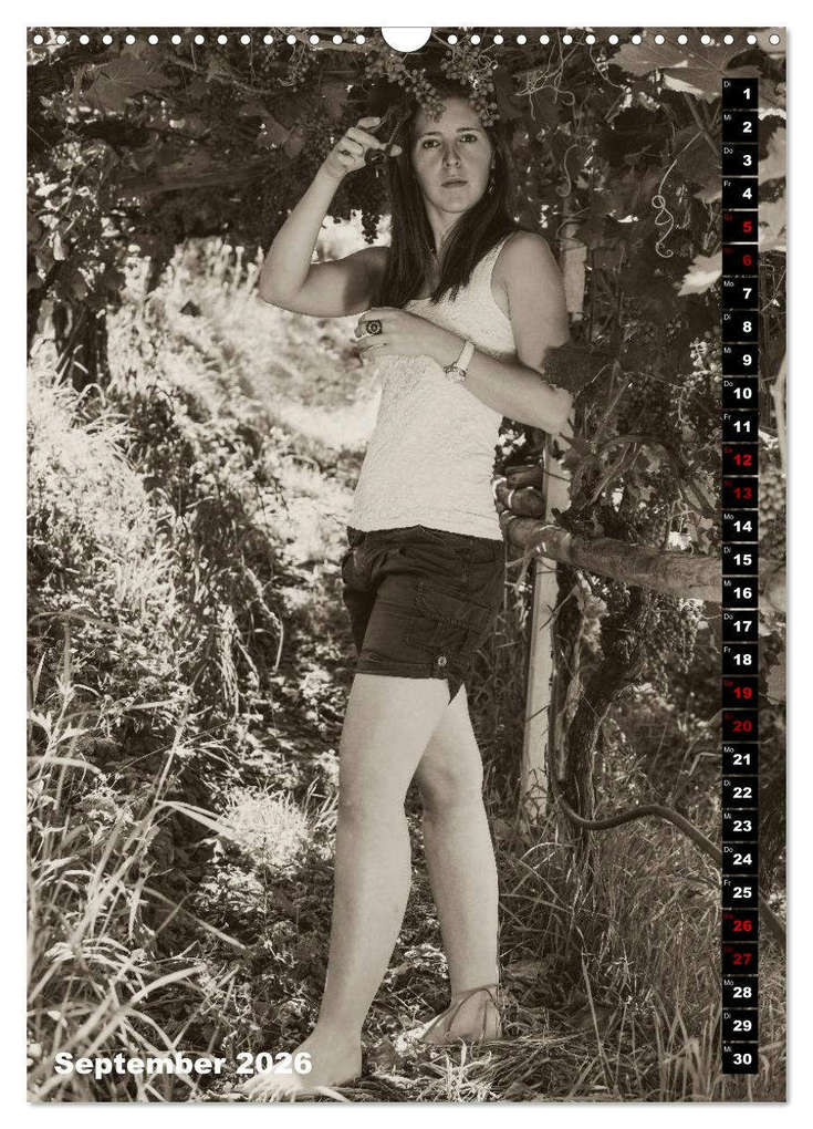 Weitere Ansicht: Weinbaukalender 2026 (Wandkalender 2026 DIN A3 hoch), CALVENDO Monatskalender | Werner Zippl, Calvendo