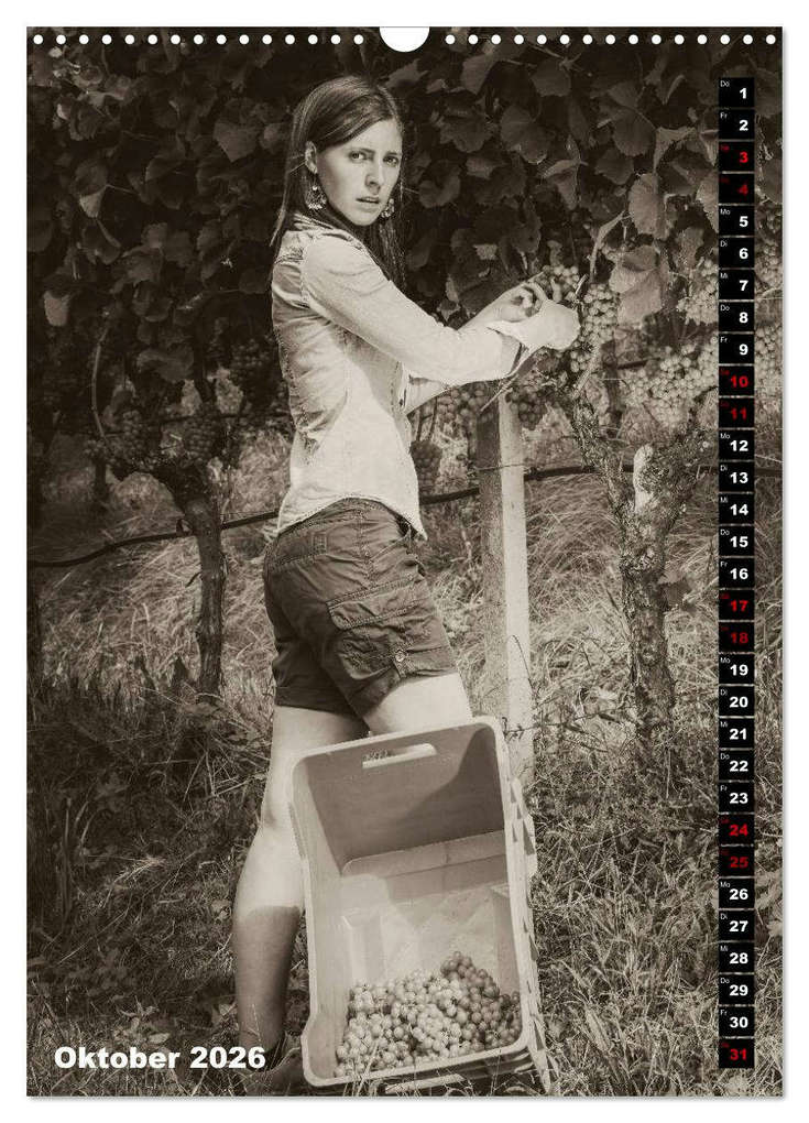 Weitere Ansicht: Weinbaukalender 2026 (Wandkalender 2026 DIN A3 hoch), CALVENDO Monatskalender | Werner Zippl, Calvendo