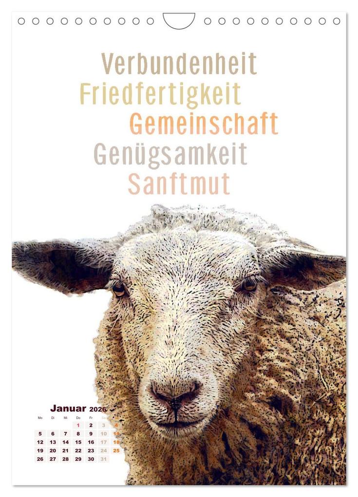 Weitere Ansicht: Krafttiere - Inspirierende Begleiter voller Magie und Seele (Wandkalender 2026 DIN A4 hoch), CALVENDO Monatskalender | Astrid Ryzek, Calvendo