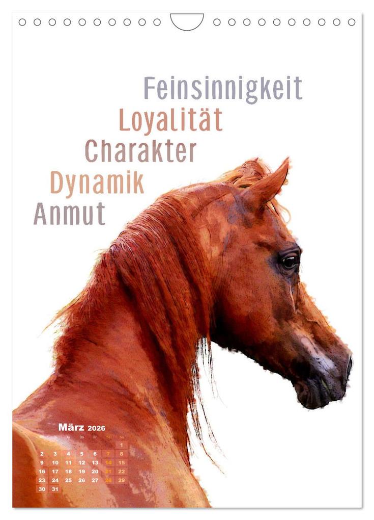 Weitere Ansicht: Krafttiere - Inspirierende Begleiter voller Magie und Seele (Wandkalender 2026 DIN A4 hoch), CALVENDO Monatskalender | Astrid Ryzek, Calvendo