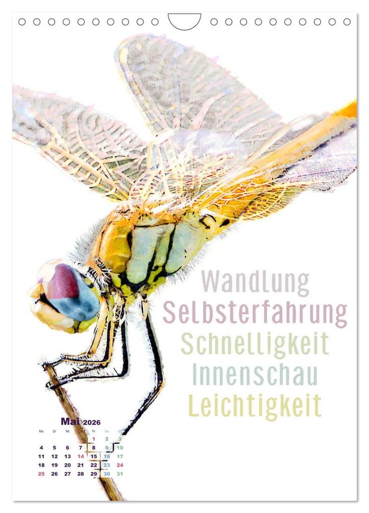 Weitere Ansicht: Krafttiere - Inspirierende Begleiter voller Magie und Seele (Wandkalender 2026 DIN A4 hoch), CALVENDO Monatskalender | Astrid Ryzek, Calvendo