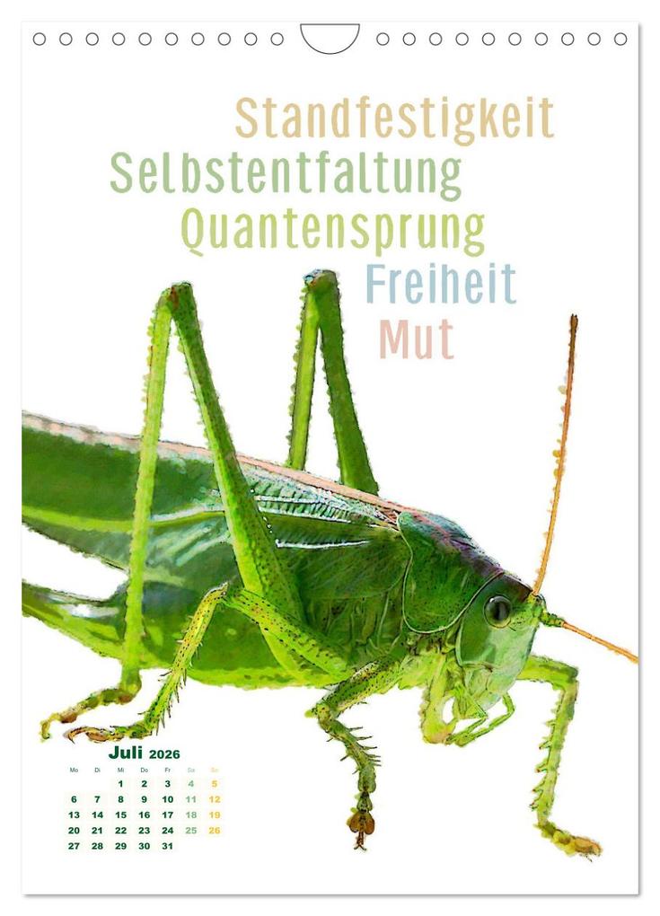 Weitere Ansicht: Krafttiere - Inspirierende Begleiter voller Magie und Seele (Wandkalender 2026 DIN A4 hoch), CALVENDO Monatskalender | Astrid Ryzek, Calvendo