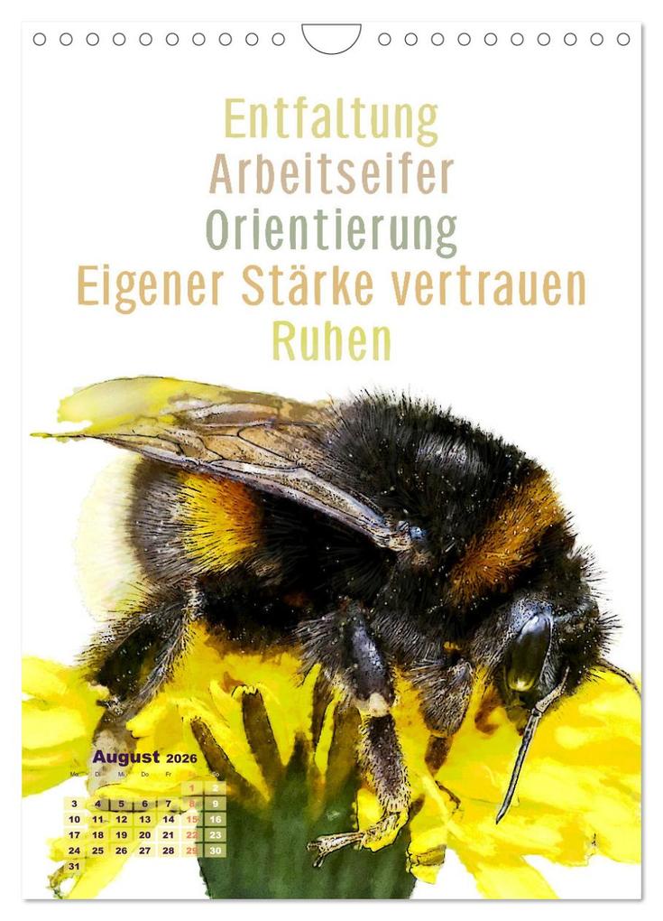 Weitere Ansicht: Krafttiere - Inspirierende Begleiter voller Magie und Seele (Wandkalender 2026 DIN A4 hoch), CALVENDO Monatskalender | Astrid Ryzek, Calvendo