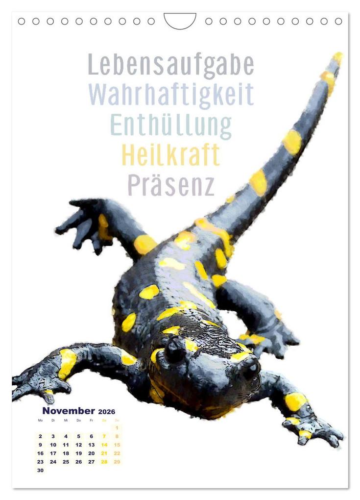 Weitere Ansicht: Krafttiere - Inspirierende Begleiter voller Magie und Seele (Wandkalender 2026 DIN A4 hoch), CALVENDO Monatskalender | Astrid Ryzek, Calvendo