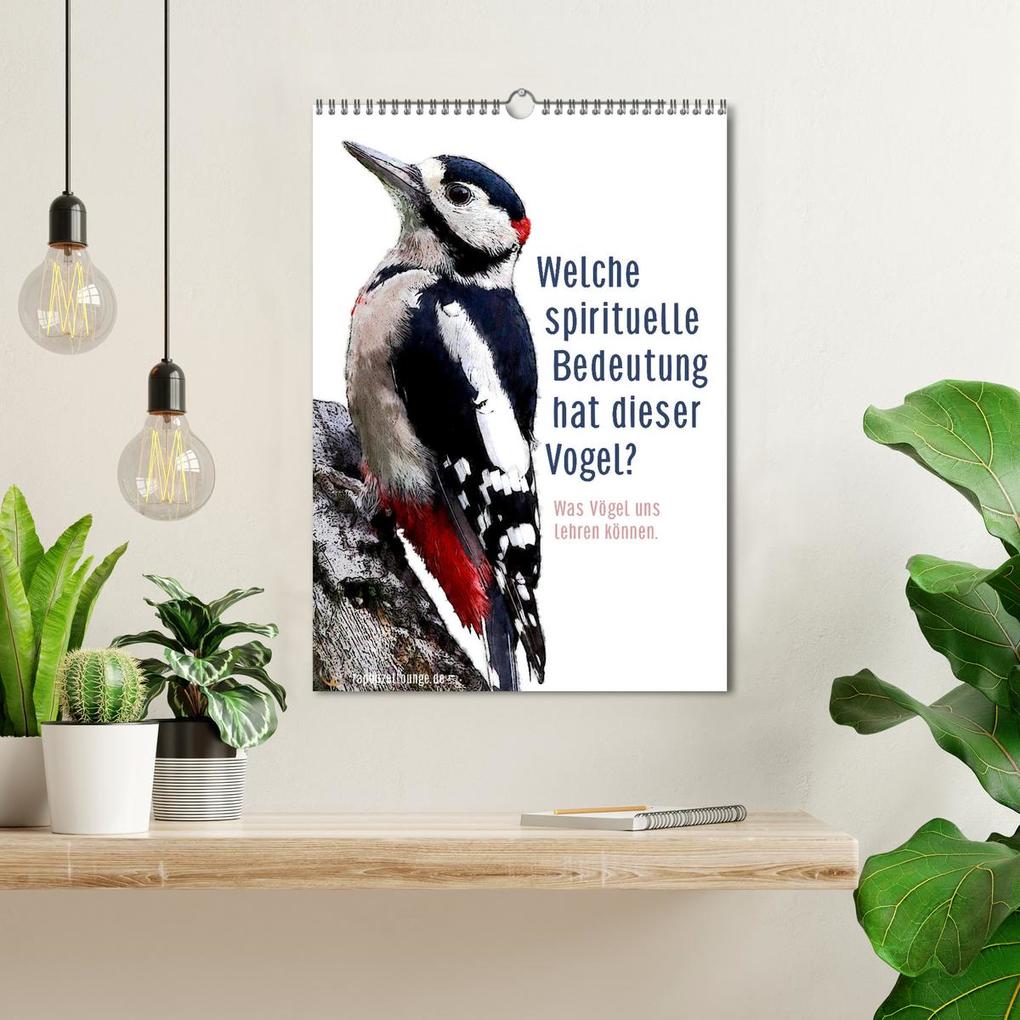Weitere Ansicht: Welche spirituelle Bedeutung hat dieser Vogel? (Wandkalender 2026 DIN A3 hoch), CALVENDO Monatskalender | Astrid Ryzek - Rapunzel-Lounge, Calvendo