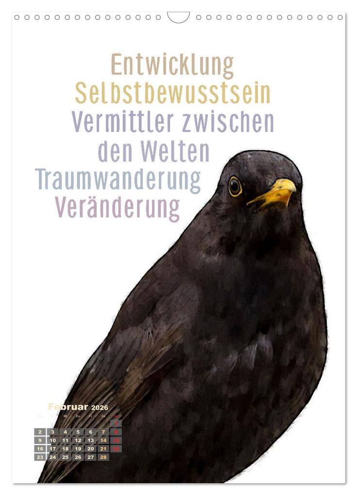 Weitere Ansicht: Welche spirituelle Bedeutung hat dieser Vogel? (Wandkalender 2026 DIN A3 hoch), CALVENDO Monatskalender | Astrid Ryzek - Rapunzel-Lounge, Calvendo