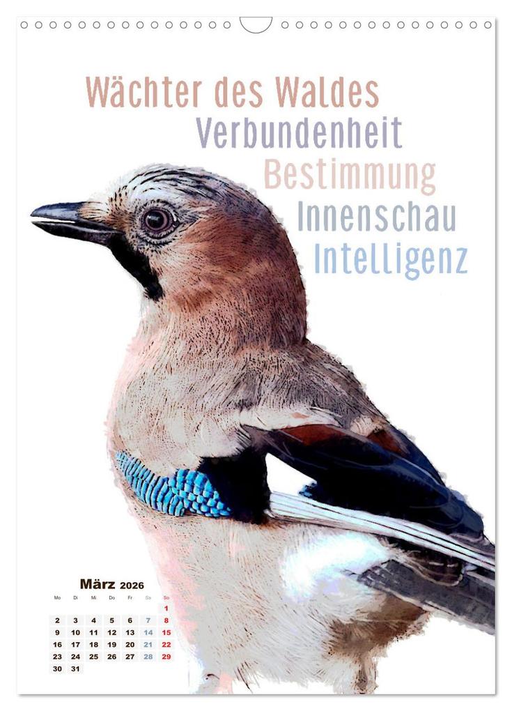 Weitere Ansicht: Welche spirituelle Bedeutung hat dieser Vogel? (Wandkalender 2026 DIN A3 hoch), CALVENDO Monatskalender | Astrid Ryzek - Rapunzel-Lounge, Calvendo