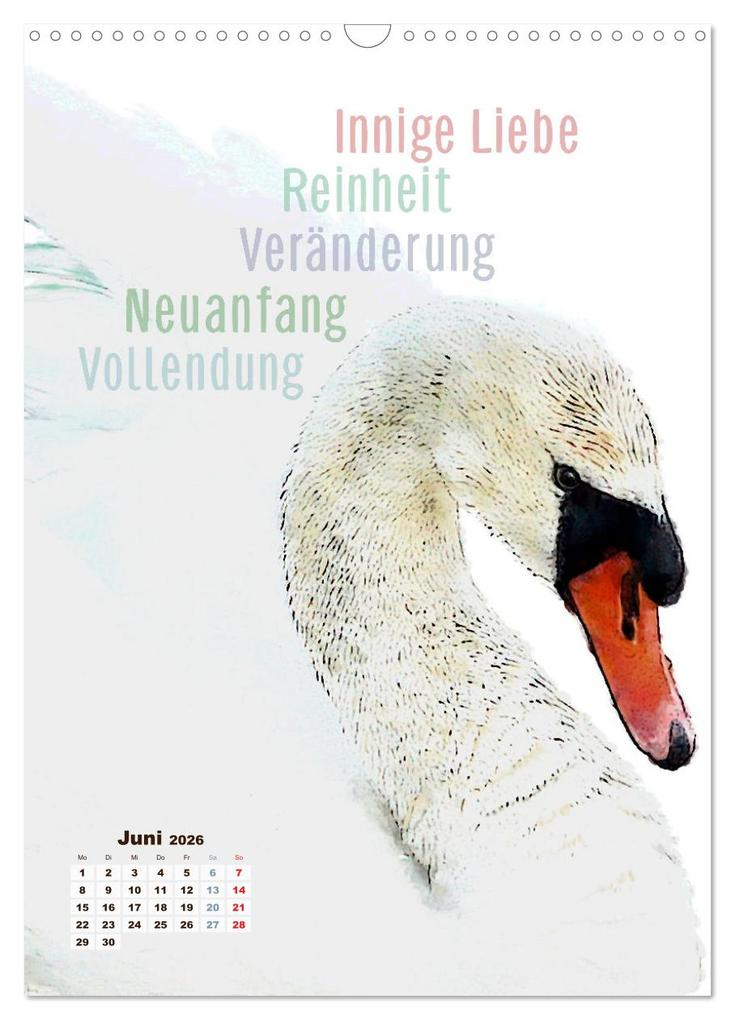 Weitere Ansicht: Welche spirituelle Bedeutung hat dieser Vogel? (Wandkalender 2026 DIN A3 hoch), CALVENDO Monatskalender | Astrid Ryzek - Rapunzel-Lounge, Calvendo