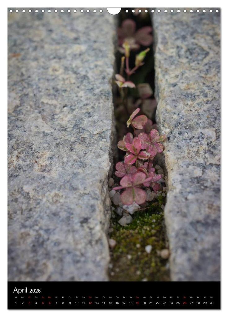 Weitere Ansicht: Japan im Blickpunkt (Wandkalender 2026 DIN A3 hoch), CALVENDO Monatskalender | Nina Karin Neumann, Calvendo