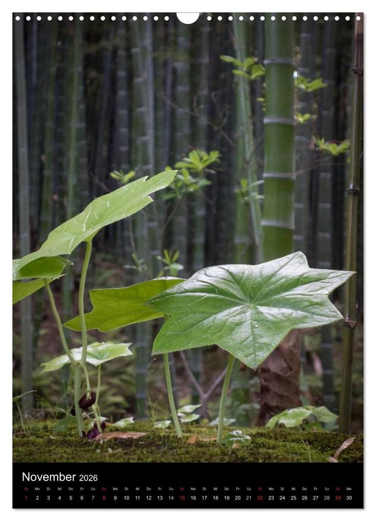 Weitere Ansicht: Japan im Blickpunkt (Wandkalender 2026 DIN A3 hoch), CALVENDO Monatskalender | Nina Karin Neumann, Calvendo