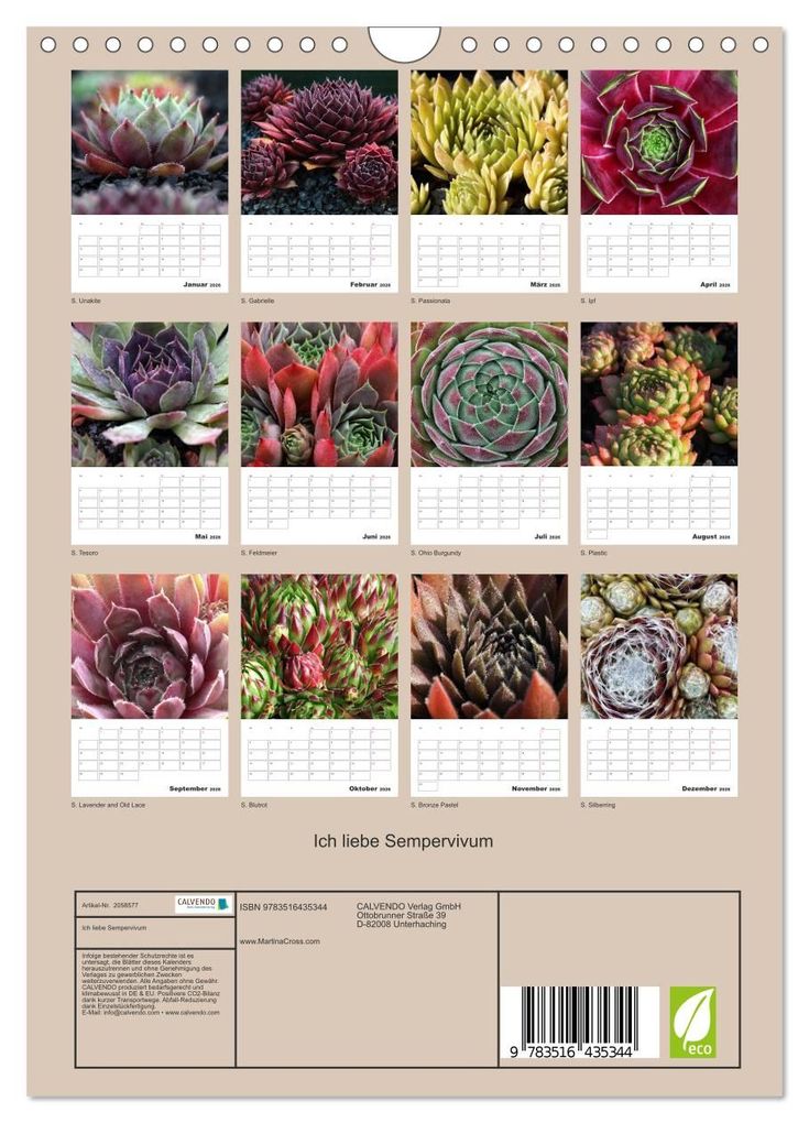 Weitere Ansicht: Ich liebe Sempervivum (Wandkalender 2026 DIN A4 hoch), CALVENDO Monatskalender | Calvendo, Martina Cross
