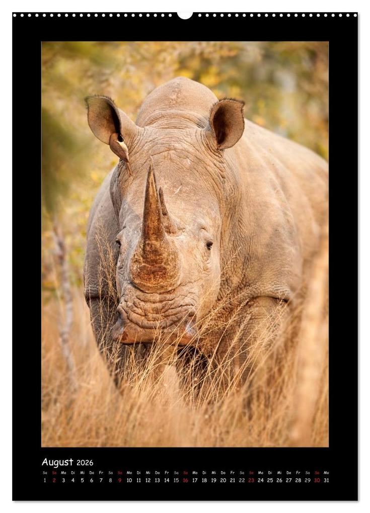 Weitere Ansicht: Südafrika und seine Tierwelt (hochwertiger Premium Wandkalender 2026 DIN A2 hoch), Kunstdruck in Hochglanz | Calvendo, © Kirsten und Holger Karius