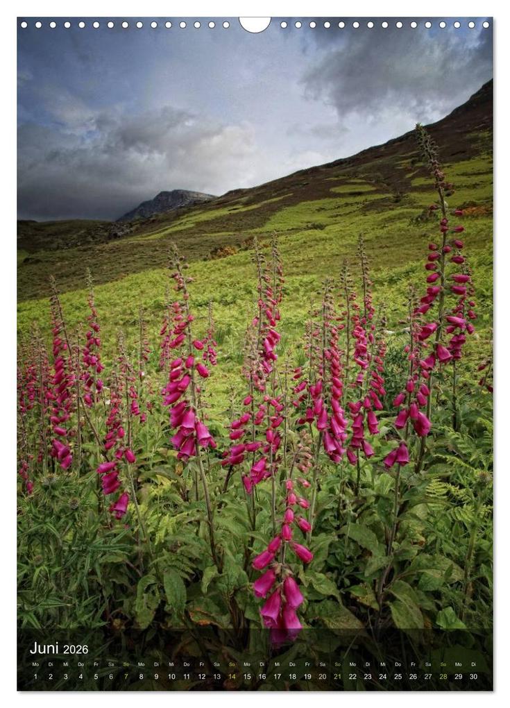 Weitere Ansicht: Traumhaftes Schottland (Wandkalender 2026 DIN A3 hoch), CALVENDO Monatskalender | Martina Cross, Calvendo