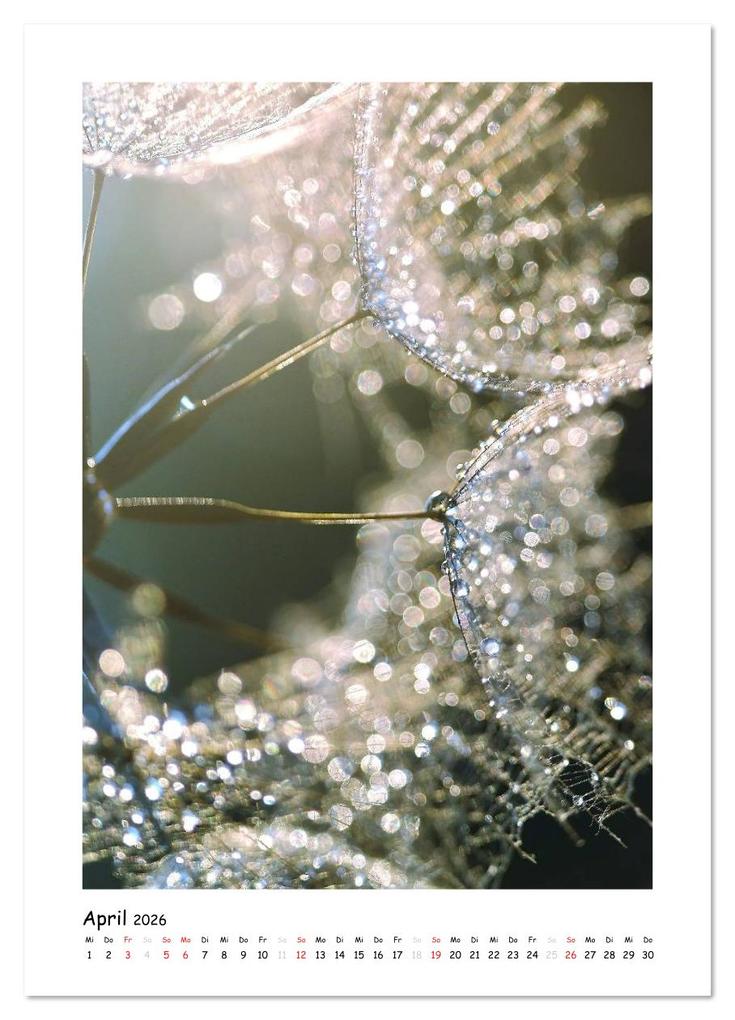 Weitere Ansicht: Die Pusteblume neu erleben (Wandkalender 2026 DIN A4 hoch), CALVENDO Monatskalender | Julia Delgado, Calvendo