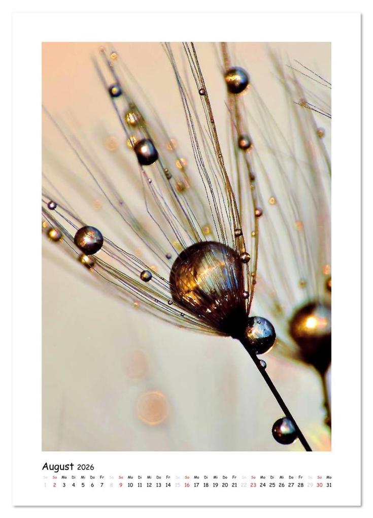 Weitere Ansicht: Die Pusteblume neu erleben (Wandkalender 2026 DIN A4 hoch), CALVENDO Monatskalender | Julia Delgado, Calvendo