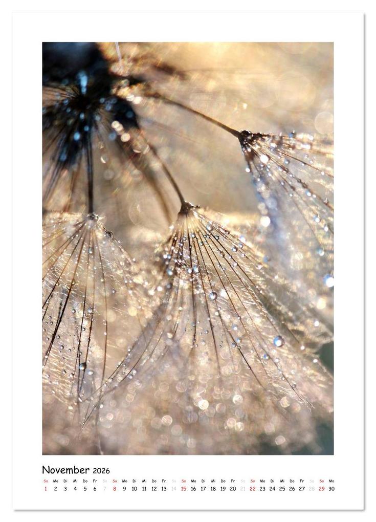 Weitere Ansicht: Die Pusteblume neu erleben (Wandkalender 2026 DIN A4 hoch), CALVENDO Monatskalender | Julia Delgado, Calvendo