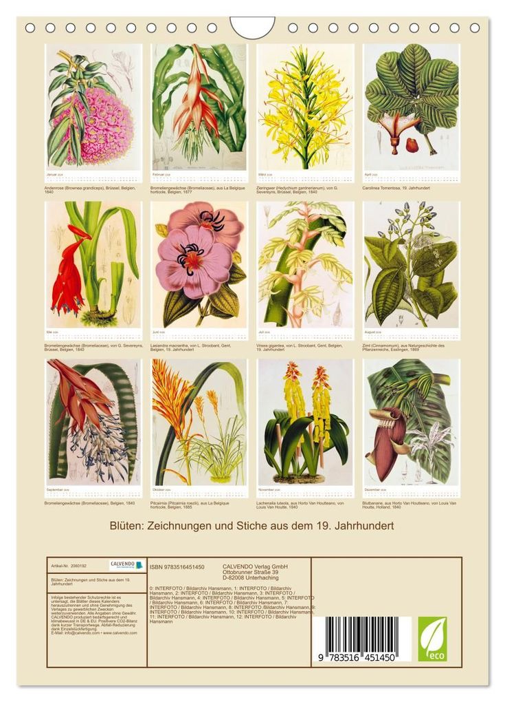 Weitere Ansicht: Blüten: Zeichnungen und Stiche aus dem 19. Jahrhundert (Wandkalender 2026 DIN A4 hoch), CALVENDO Monatskalender | CALVENDO CALVENDO, Calvendo