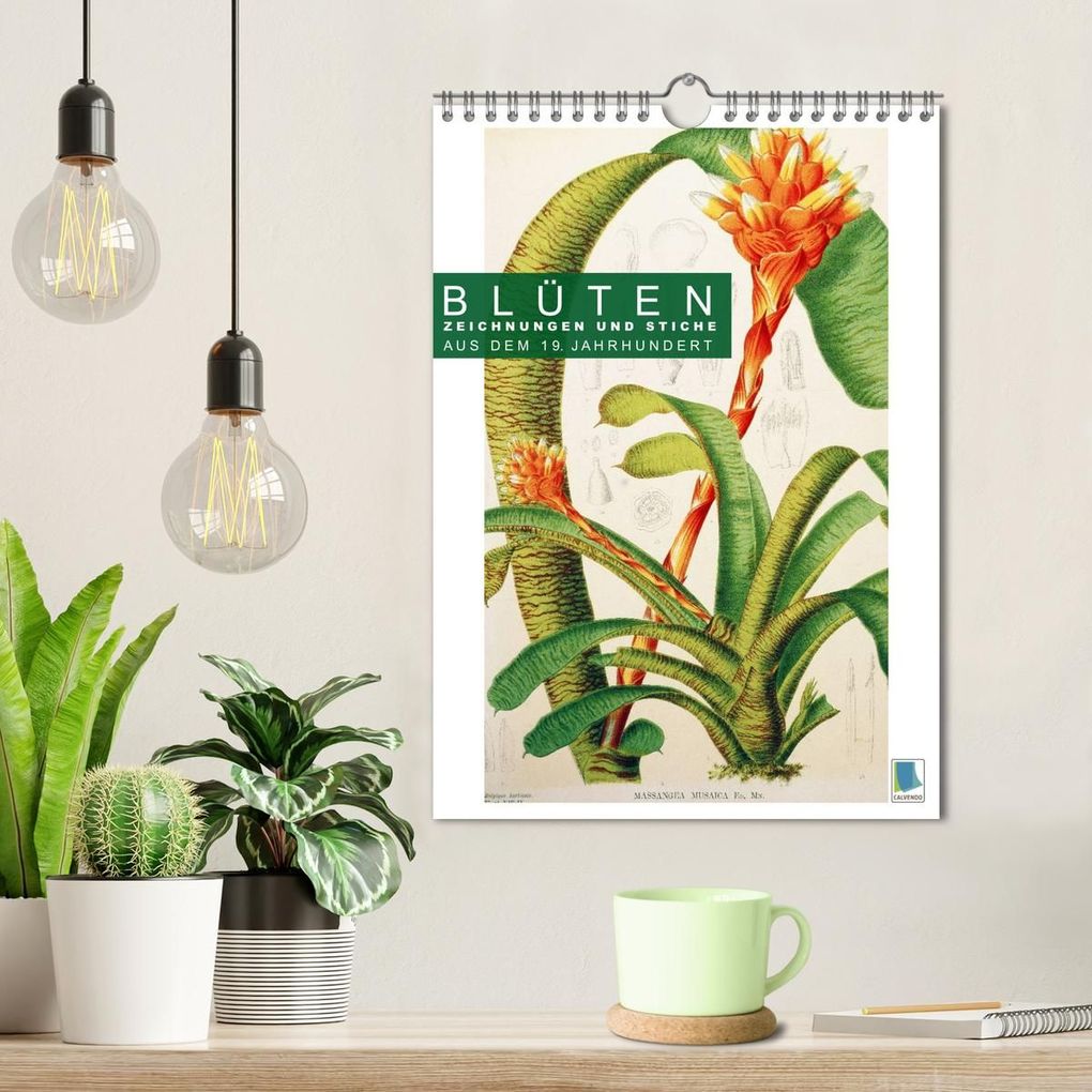 Weitere Ansicht: Blüten: Zeichnungen und Stiche aus dem 19. Jahrhundert (Wandkalender 2026 DIN A4 hoch), CALVENDO Monatskalender | CALVENDO CALVENDO, Calvendo