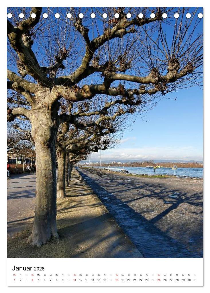 Weitere Ansicht: Mainz 2026 Bilder vom Frankfurter Taxifahrer Petrus Bodenstaff (Tischkalender 2026 DIN A5 hoch), CALVENDO Monatskalender | Petrus Bodenstaff, Calvendo