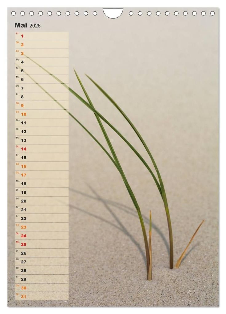 Weitere Ansicht: Zwischen Dünen und Watt / Geburtstagskalender (Wandkalender 2026 DIN A4 hoch), CALVENDO Monatskalender | Kathleen Bergmann, Calvendo
