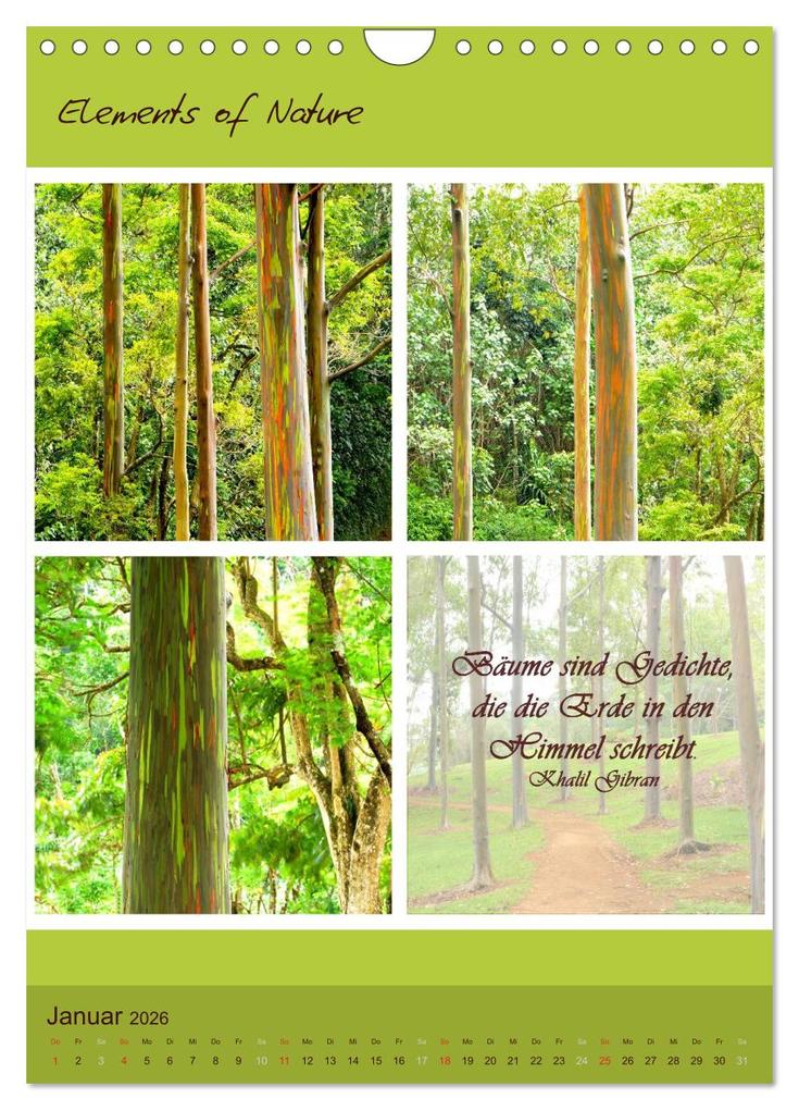 Weitere Ansicht: Elements of Nature (Wandkalender 2026 DIN A4 hoch), CALVENDO Monatskalender | CrystalLights by Sylvia Seibl, Calvendo, Sylvia Seibl