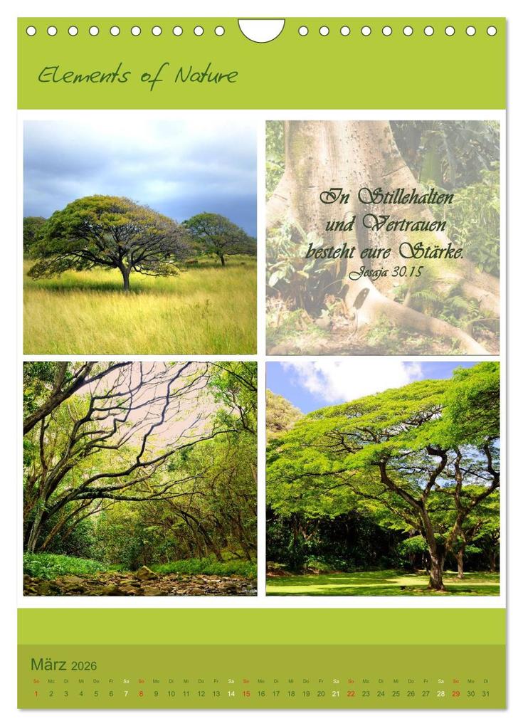 Weitere Ansicht: Elements of Nature (Wandkalender 2026 DIN A4 hoch), CALVENDO Monatskalender | CrystalLights by Sylvia Seibl, Calvendo, Sylvia Seibl
