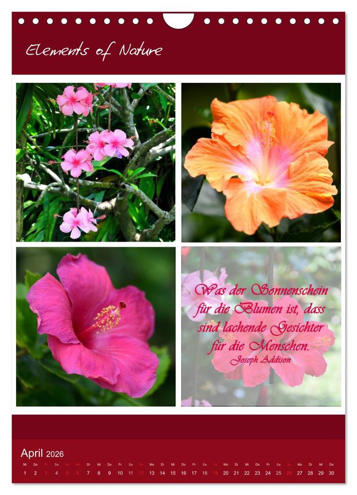 Weitere Ansicht: Elements of Nature (Wandkalender 2026 DIN A4 hoch), CALVENDO Monatskalender | CrystalLights by Sylvia Seibl, Calvendo, Sylvia Seibl