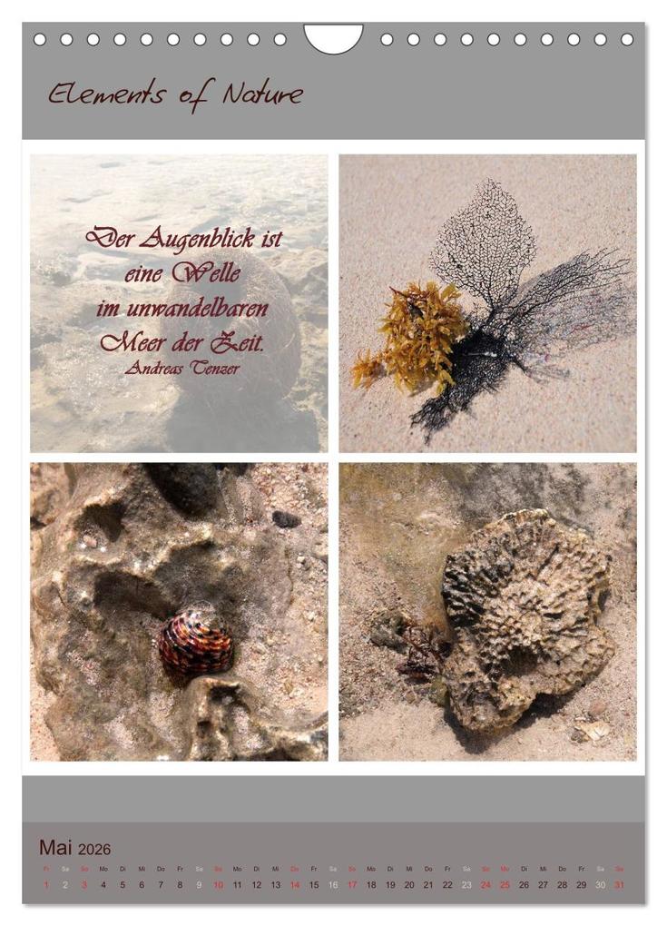 Weitere Ansicht: Elements of Nature (Wandkalender 2026 DIN A4 hoch), CALVENDO Monatskalender | CrystalLights by Sylvia Seibl, Calvendo, Sylvia Seibl