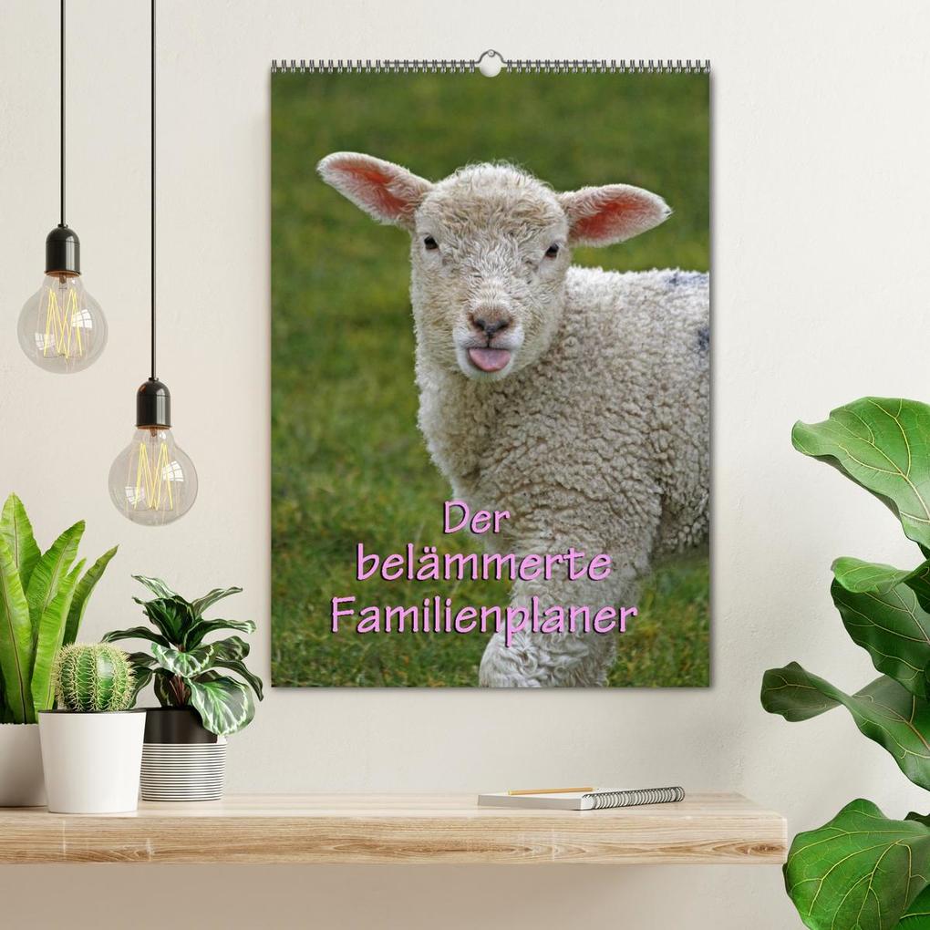 Weitere Ansicht: Der belämmerte Familienplaner (Wandkalender 2026 DIN A2 hoch), CALVENDO Monatskalender | Antje Lindert-Rottke, Calvendo