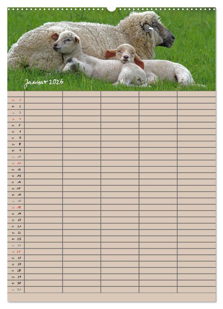 Weitere Ansicht: Der belämmerte Familienplaner (Wandkalender 2026 DIN A2 hoch), CALVENDO Monatskalender | Antje Lindert-Rottke, Calvendo