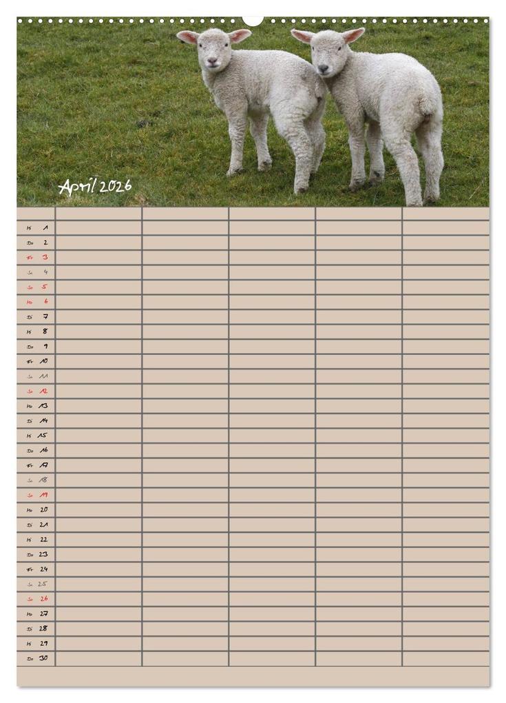 Weitere Ansicht: Der belämmerte Familienplaner (Wandkalender 2026 DIN A2 hoch), CALVENDO Monatskalender | Antje Lindert-Rottke, Calvendo