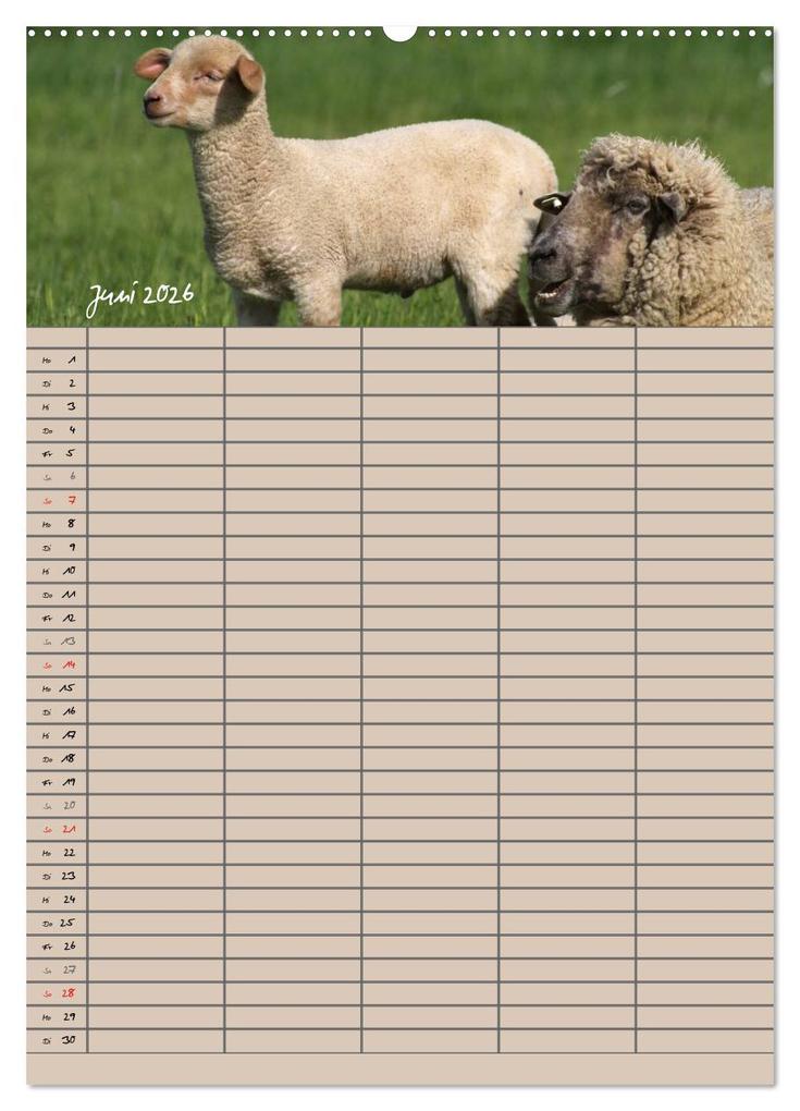 Weitere Ansicht: Der belämmerte Familienplaner (Wandkalender 2026 DIN A2 hoch), CALVENDO Monatskalender | Antje Lindert-Rottke, Calvendo