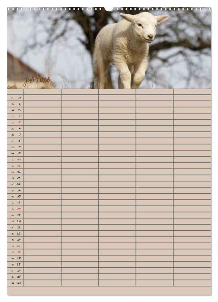 Weitere Ansicht: Der belämmerte Familienplaner (Wandkalender 2026 DIN A2 hoch), CALVENDO Monatskalender | Antje Lindert-Rottke, Calvendo