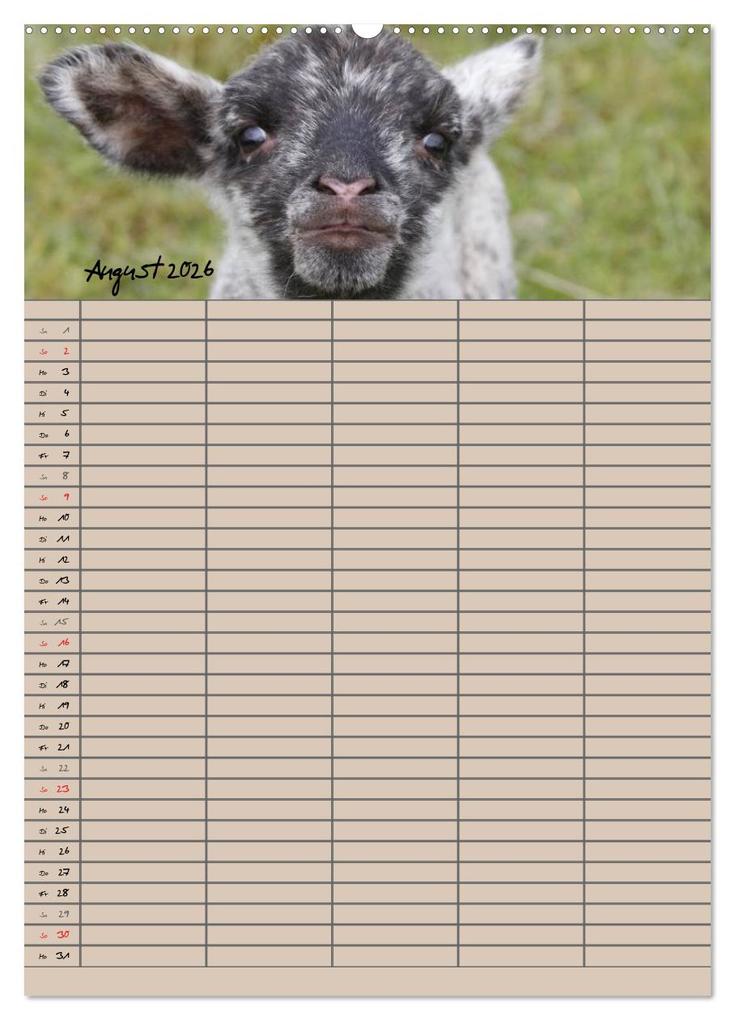 Weitere Ansicht: Der belämmerte Familienplaner (Wandkalender 2026 DIN A2 hoch), CALVENDO Monatskalender | Antje Lindert-Rottke, Calvendo