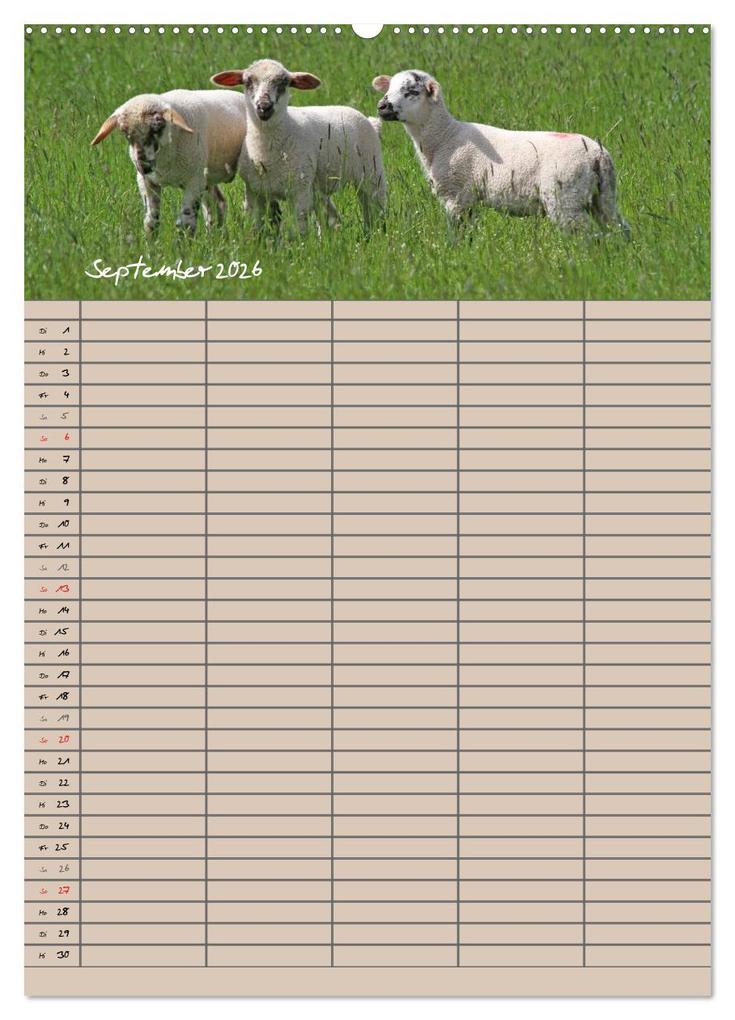 Weitere Ansicht: Der belämmerte Familienplaner (Wandkalender 2026 DIN A2 hoch), CALVENDO Monatskalender | Antje Lindert-Rottke, Calvendo