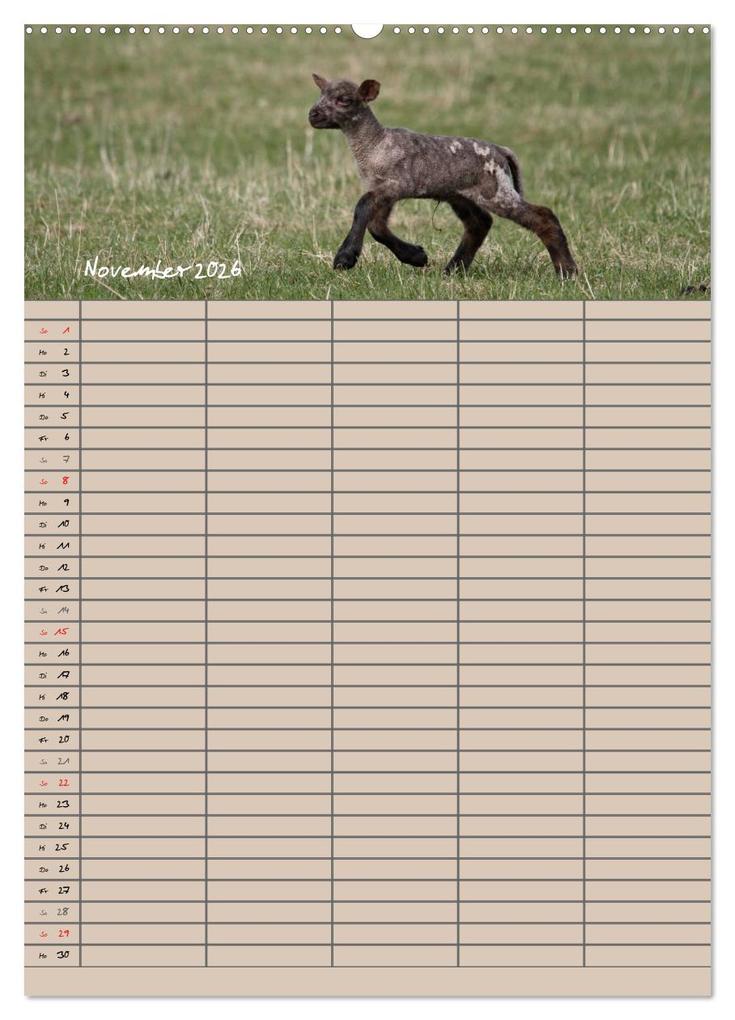 Weitere Ansicht: Der belämmerte Familienplaner (Wandkalender 2026 DIN A2 hoch), CALVENDO Monatskalender | Antje Lindert-Rottke, Calvendo